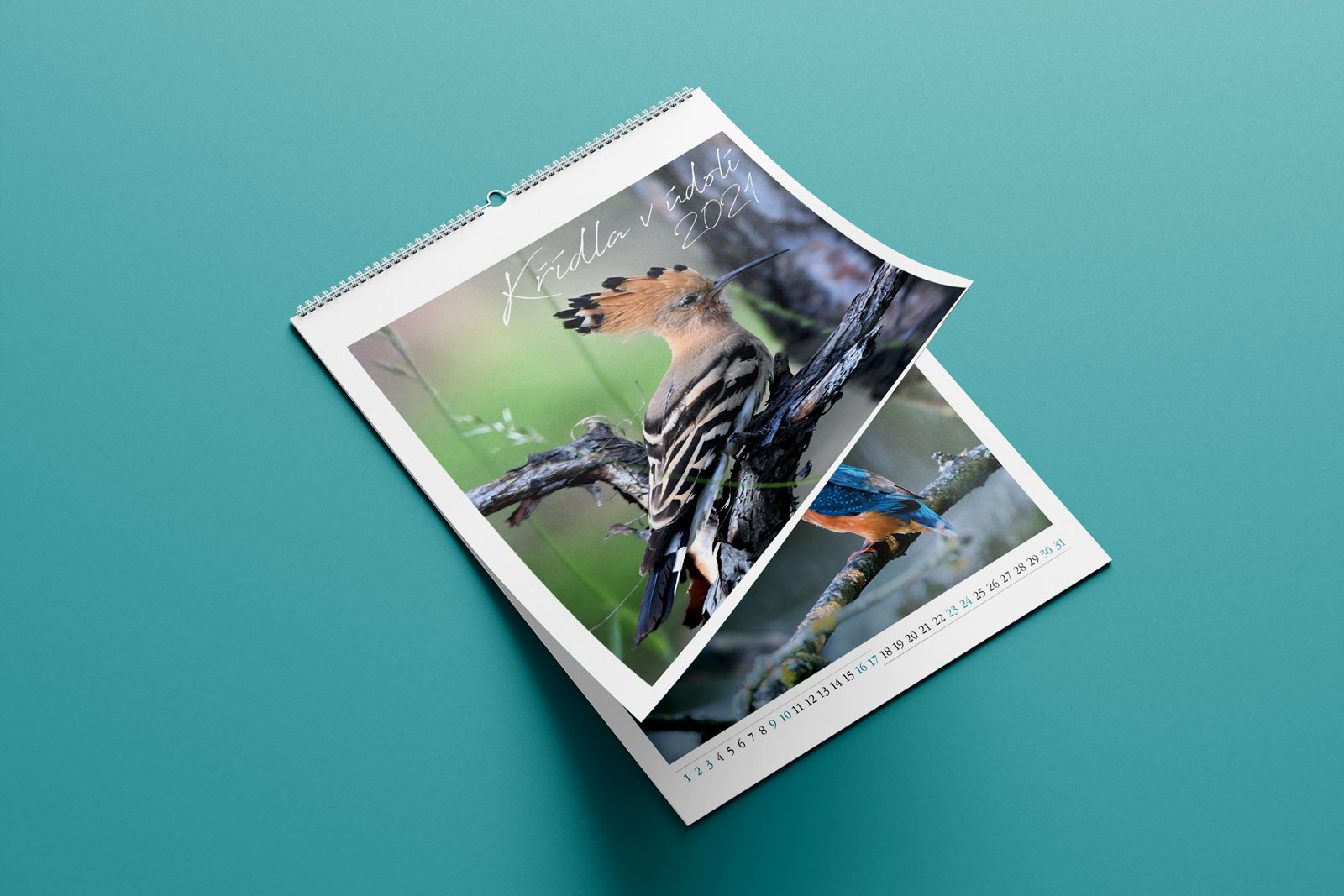 Aleš Jakš kalendář 2021